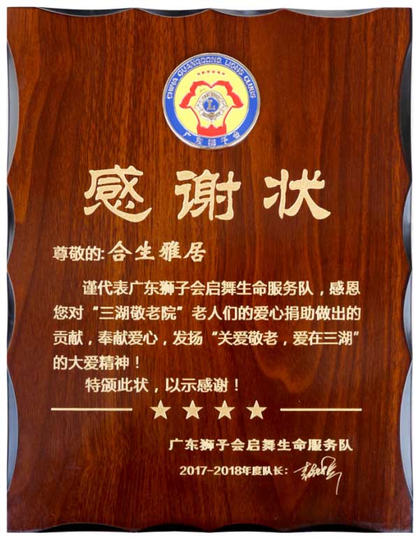 合生雅居爱心公益
