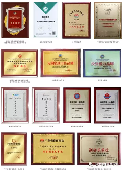 合生雅居荣誉