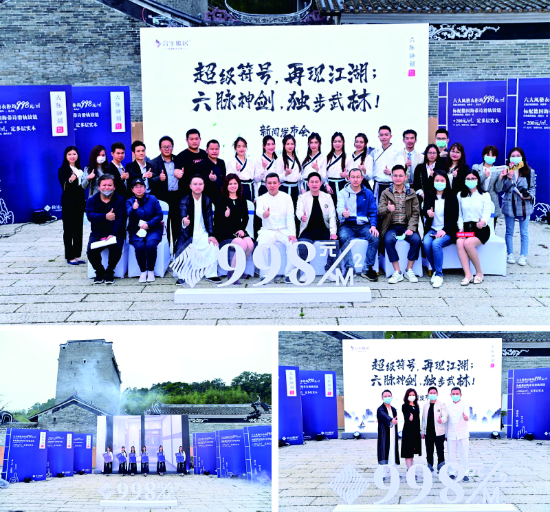 合生雅居新闻发布会,六脉神剑 合生雅居新闻发布会,六脉神剑